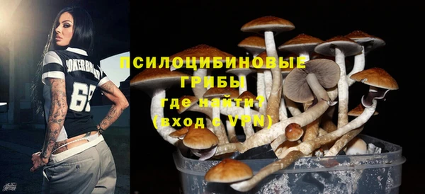 ГАЛЛЮЦИНОГЕННЫЕ ГРИБЫ Алзамай